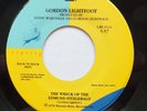GORDON LIGHTFOOT Wreck of the Edmund Fitzgerald / Race Among the Ruins 45