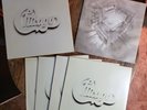 Chicago/ Live At Carnegie Hall / Vinyl lp Box Set Vol 1-4  Booklet 1971