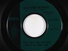 Doo-Wop 45 - Rick & The Masters - Bewitched Bothered & Bewildered - Haral - VG+