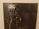 Darkthrone - Under A Funeral Moon (Original Release from 1993 - No RE )