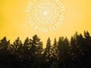 DECEMBERISTS: KING IS DEAD (LP vinyl *BRAND NEW*.)
