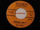Del-Tones 45 Storm 982 Seegrams Part 7 / Taboo