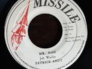 Mr Man - Patrick Andy