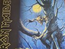 Fear of the Dark by Iron Maiden (Record, 2017)