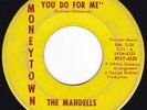 Dreamy IL Northern Sweet Soul MANDELLS What Can You Do For Me 45 Moneytown HEAR