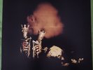 PEARL JAM - Riot Act    2 LPs   (Epic)