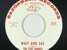 Garage 45 - Five Rogues - Wait And See - Razorback - VG+ mp3