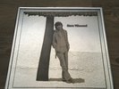 Vtg Steve Winwood 1977 Self Titled Mirrored Glass Album Print Island Records