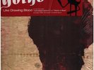 Gotye Like Drawing Blood NEAR MINT Pinnacle / Lucky Numbers Vinyl LP