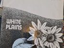 WHITE PLAINS 1970 1ST PRESS UK DERAM VINYL LP,  EX / VG+ SLEEVE