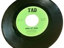 The Notations 1969 Funk 45 Gonna Get Ready Trying My Best To Find Her Tad 205