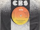 SEVENTIES -- LOREDANA BERTE -- DEDICATING ( DEDICATO ) -- UK  7