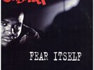 Casual - Fear Itself '94 LP UK ORG EX-/EX-