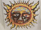 Sublime 40oz. To Freedom Vinyl 2005 Cranberry - RARE