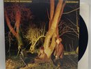 Echo And The Bunnymen - Crocodiles  - 1980 US 1st Press (NM) Ultrasonic Clean