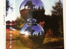 Pink Floyd LP United - Vinile Multicolore