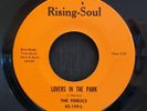 The Fidelics - Lovers In The Park - Rising-Soul 45 VG+ NORTHERN SOUL