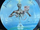 IRON MAIDEN Seventh Son Of A Seventh Son Picture Disc Vinyl Record Album LP