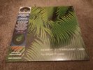 EDGAR FROESE - EPSILON IN MALAYSIAN - PALE GREEN/CLEAR MARBLE VINYL LP RSD 2022