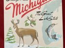 Sufjan Stevens „ Greetings from Michigan „ Vinyl DO-LP US 2008