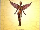 Nirvana LP Vinyl - In Utero - First EU Pressing - VG+ - EX / G+ - VG (-) VG