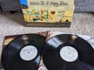 Kurt Vile - WALKIN ON A PRETTY DAZE - Vinyl 2 LP - VG+ Wax