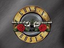 NEW Greatest Hits (2LP Vinyl) By Guns N' Roses $50.28