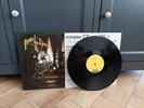 Panic  At The Disco Vices & Virtues Vinyl Record