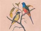 MONSTERS, THE BIRDS EAT MARTIANS (UK IMPORT) VINYL LP NEW
