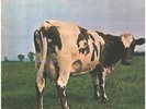 Pink Floyd Atom Heart Mother ORIGINAL GERMAN NEAR MINT Harvest Vinyl LP