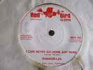 RED BIRD 7