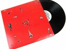Animal Collective: Hollinndagain Vinyl LP. Merriweather Post Pavilion. Sung Tong