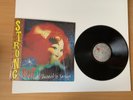 Strung Out Twisted By Design Album