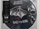Avenged Sevenfold - Hail To The King Double 2 x Vinyl LP Picture Disc NEW SEALED