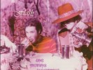 THE MOVING SIDEWALKS Flash (USA 1968) Akarma AK 117  Vinyl reissue