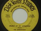 Garage Surf THE UNKNOWNS Object of My Affection / Heart Of DICK VANCE 45 HEAR