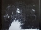 Satanic Warmaster ‎- Nova Ordo Ater LP - Vinyl Album - NEW Record VG+ Sleeve