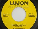 THE VIBRETTES Humpty Dump LUJON 45 Rare Deep Funk NM