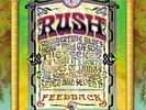 Rush Feedback Vinyl LP Brand New & Sealed 200G Quality Record Pressing