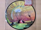 Do You Realize?? by The Flaming Lips - 45rpm Single- Vinyl Picture Disc 2002