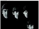 The Beatles With The Beatles (Vinyl) 2009 - Remaster (UK IMPORT)