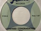 Garage 45 THE JADES Confined Congragation FENTON Please Come Back HEAR