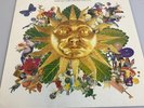 Tears For Fears Rolls Down Greatest hits 82-92 Vinile 33