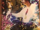Sunflower - Paul Weller  12” 1993