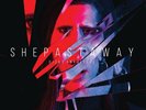 SHE PAST AWAY - DISKO ANKSIYETE (BLACK) (LTD) NEW VINYL