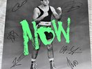 Fury In The Slaughterhouse LP Now SIGNED Autogramm signiert