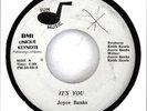 JOYCE BANKS 45 It's You FUN MUSIC Rc 79? HEAR Rare MODERN SOUL Boogie DISCO Funk