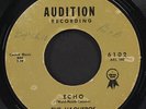 VAQUEROS: echo / desert wind AUDITION 7