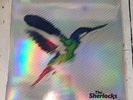 ️ The Sherlocks - Live For The Moment splatter vinyl