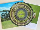 JAMIE T * THE THEORY OF WHATEVER * OOP ZOETROPE PICTURE DISC w/ NO'd SLEEVE * BN